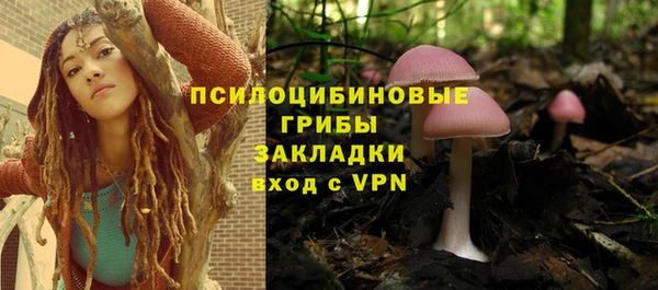 Альфа ПВП Алзамай