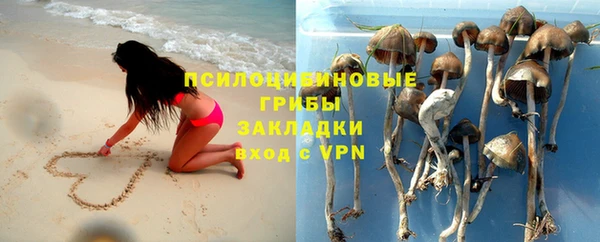 прущие грибы Алексин